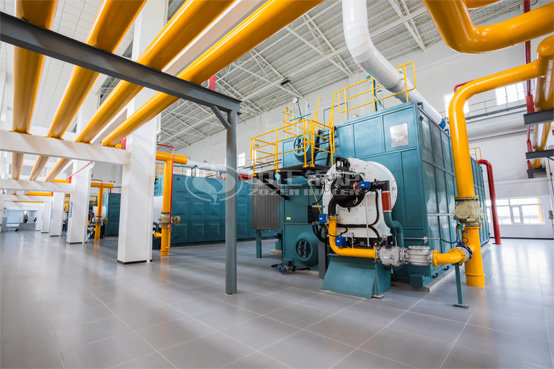 29MW SZS燃?xì)鉄崴仩t項目