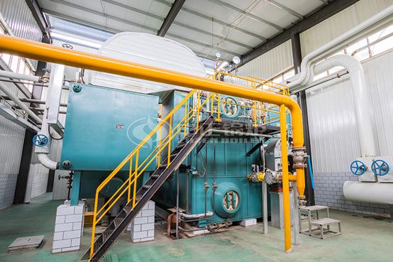 4噸SZS冷凝式燃?xì)庹羝仩t項目