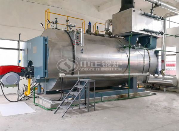 8噸WNS系列冷凝式燃?xì)庹羝仩t項(xiàng)目