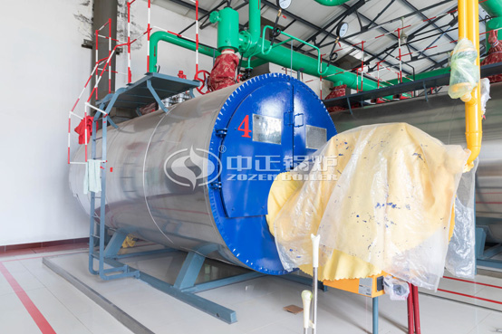 上峰孟墓塑料泡沫廠WNS系列環(huán)保型燃?xì)庹羝仩t項(xiàng)目