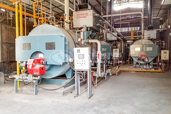 晉昇中潤紡織科技2噸WNS系列燃?xì)庹羝仩t項(xiàng)目